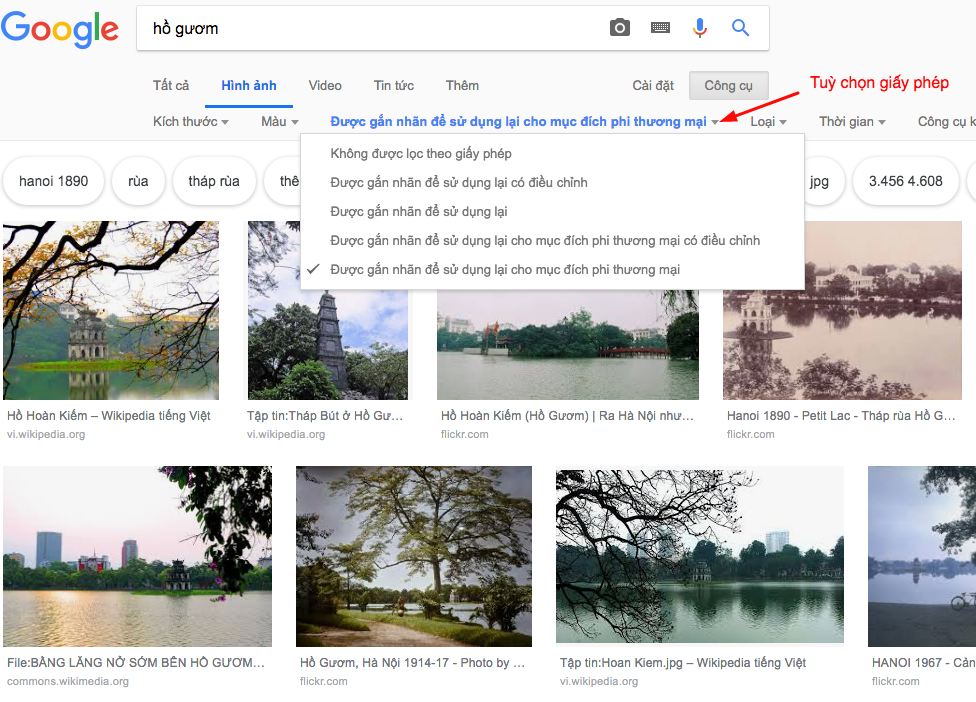 tuỳ chọn giấy phép cho tìm kiếm hình ảnh của Google