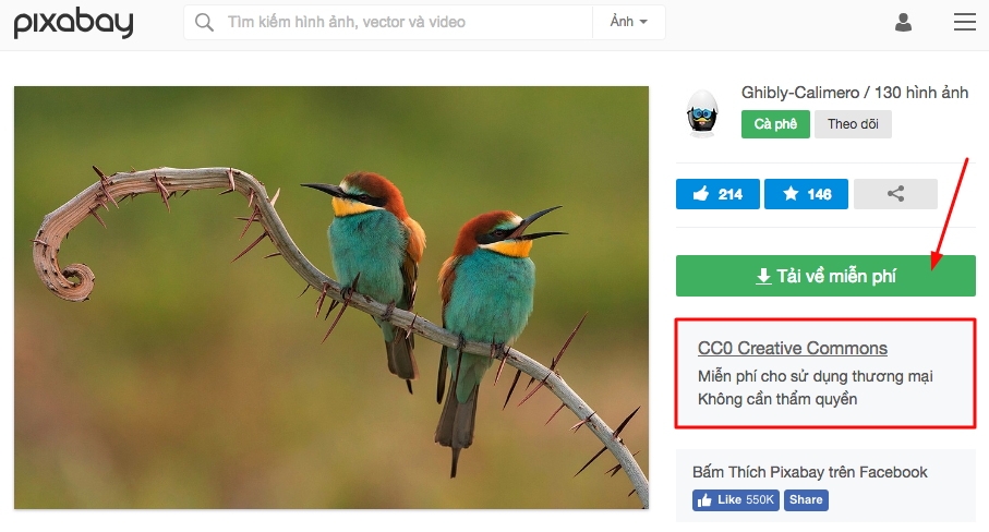 ví dụ tải ảnh trên pixabay