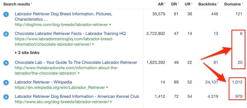 từ khóa chocolate lab