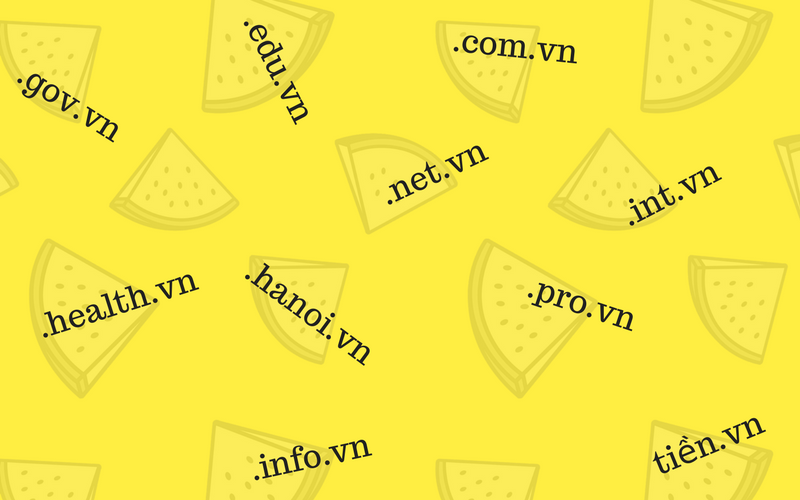 ý nghĩa đuôi tên miền .vn