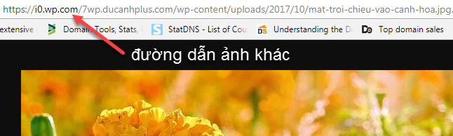 đường dẫn ảnh khác