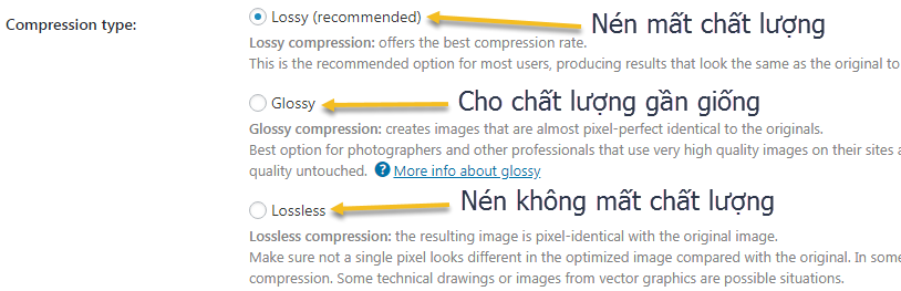 lựa chọn các kiểu nén