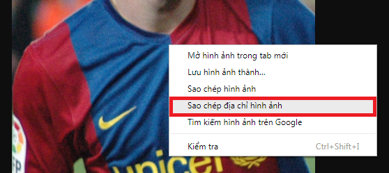 sao chép địa chỉ ảnh