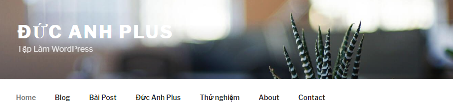 tạo thành công menu cho WordPress