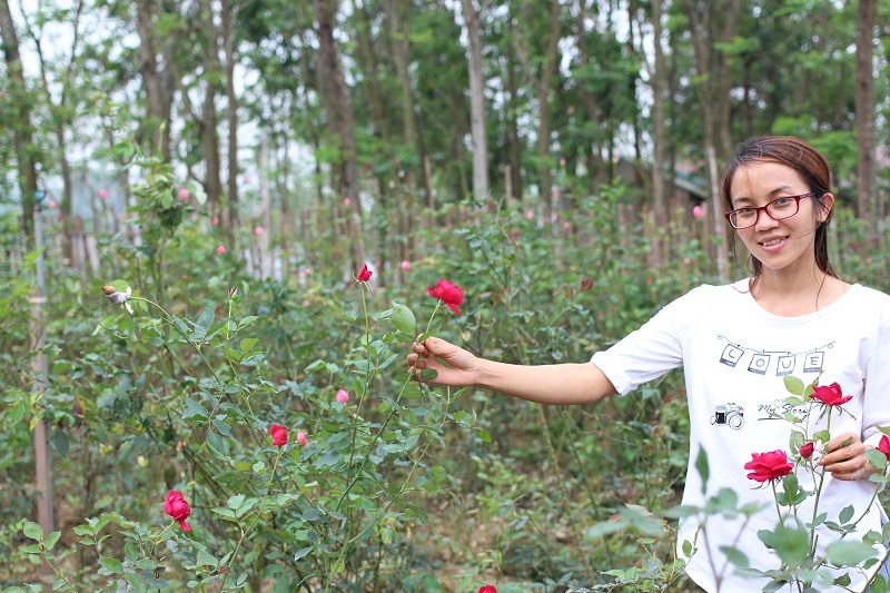 kiểu nén không mất chất lượng