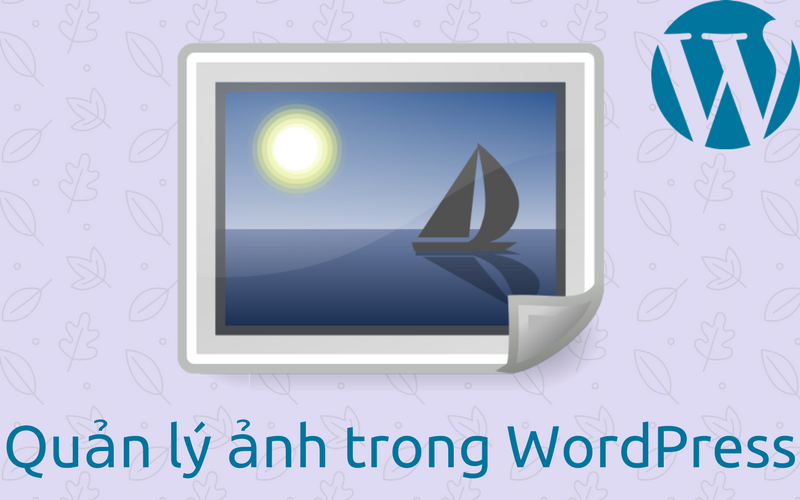 quản lý ảnh trong WordPress