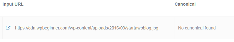WP Beginer không có canonical cho ảnh