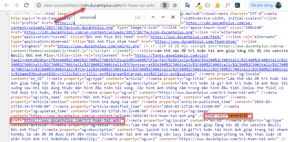 dùng thẻ canonical trỏ về link gốc
