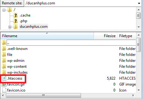 htaccess nằm tại thư mục gốc