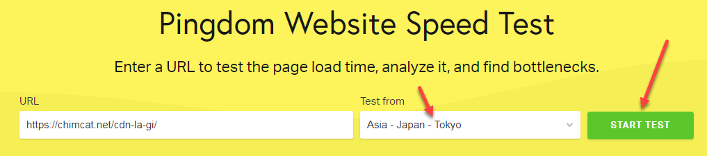 nhập URL và chọn địa điểm kiểm tra