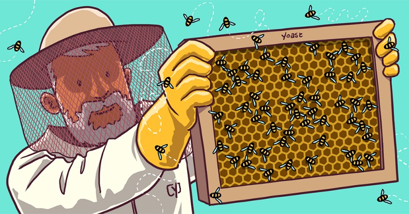 cấu trúc website tốt cho SEO