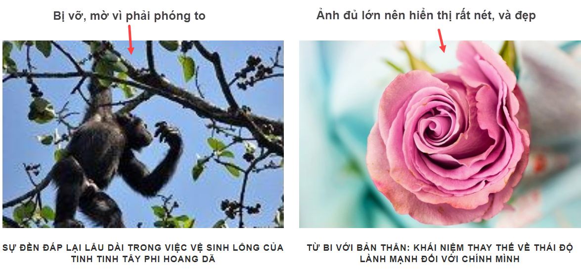 ảnh png rất nặng nếu dùng để lưu ảnh nhiều màu