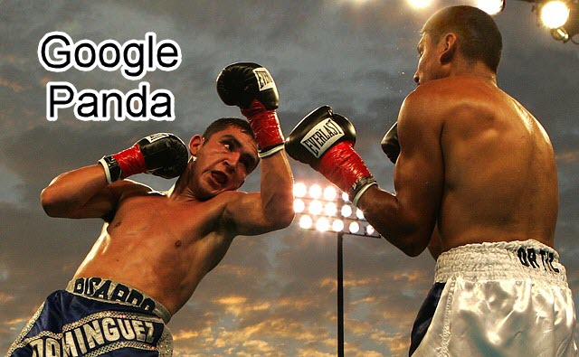 người thắng và kẻ thua sau khi Google Panda cập nhật