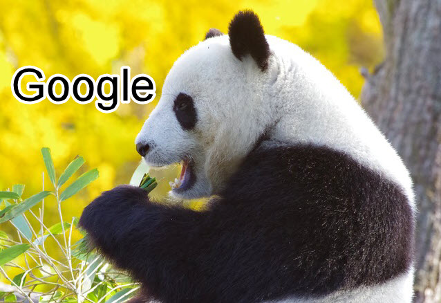 Google Panda là gì