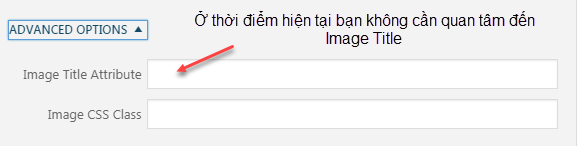 không cần quan tâm đến title của ảnh
