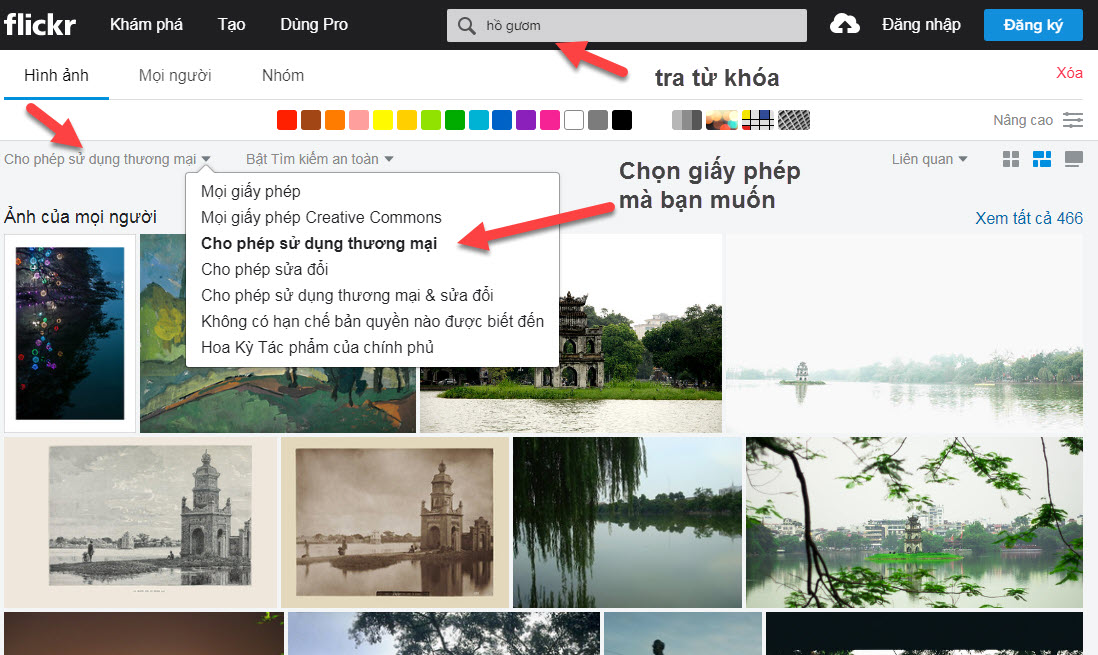 tìm ảnh miễn phí trên flickr