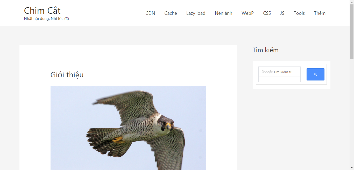 theme tối ưu tốc độ