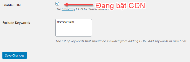 CDN đang được bật
