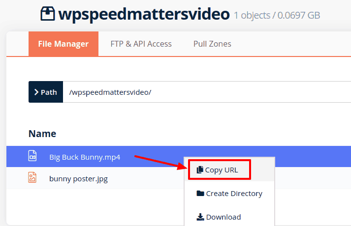 URL của video trên pullzone