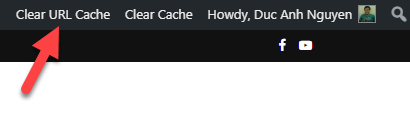 Xóa toàn bộ cache