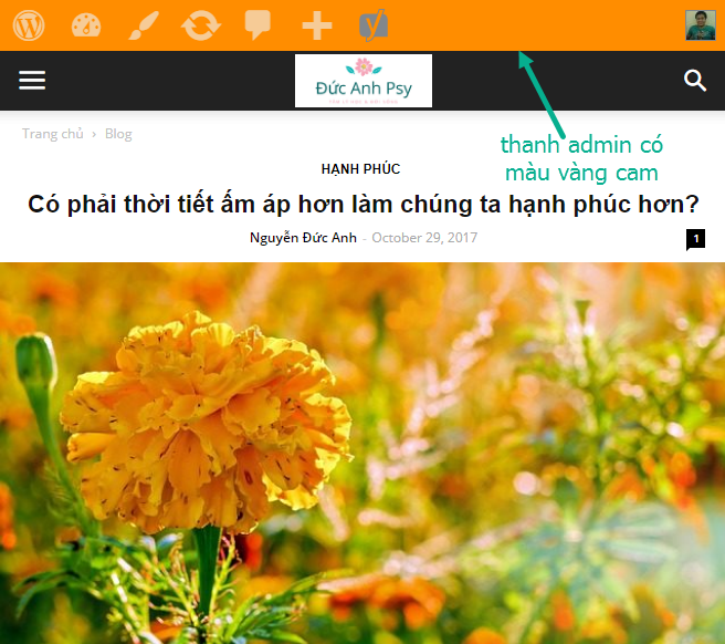 thanh admin có màu vàng cam trên môi trường staging site