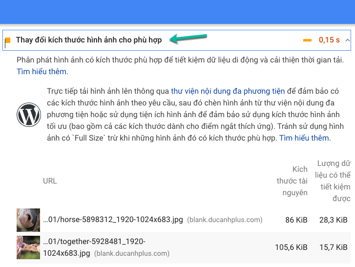 cảnh báo từ PageSpeed Insights