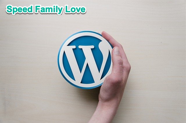 dịch vụ WordPress yêu thích của Kiến càng