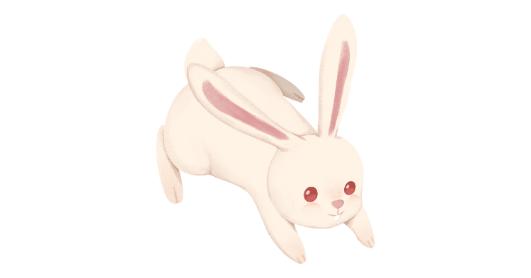 7 tùy chọn khi bạn sử dụng BunnyCDN