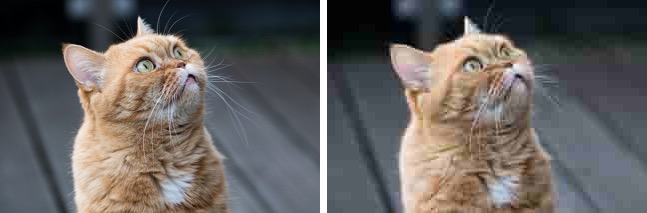 ảnh tối ưu dung lượng quá sâu làm ảnh hưởng đến chất lượng