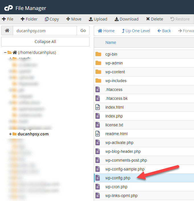 chỉnh sửa wp-config.php