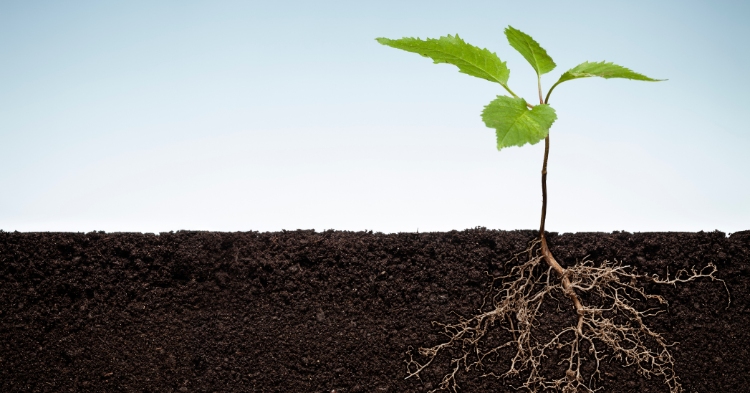 Tăng tốc WordPress nên bắt đầu từ gốc